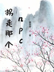 拐走那个npc